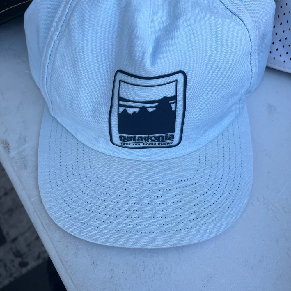 Patagonia Sky Blue Logo SnapBack unisex hat